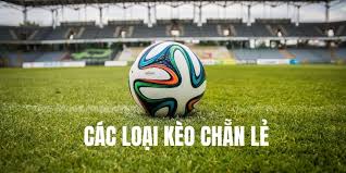 Sự thú vị trong kèo chẵn lẻ tại kubet